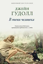 В тени человека