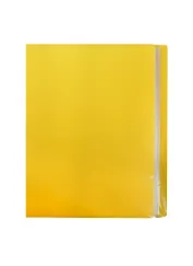 Папка 40ф А4 "Neon" желтая, пластик, Erich Krause