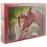Пазл Castorland 500 эл. 47*33см. Девушка и лошадь B-52516 - 1