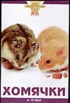 Хомячки