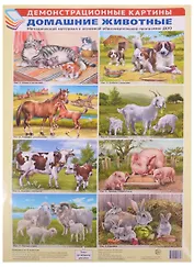 Демонстрационные картины. Домашние животные. Методический материал к основной образовательной программе ДОО