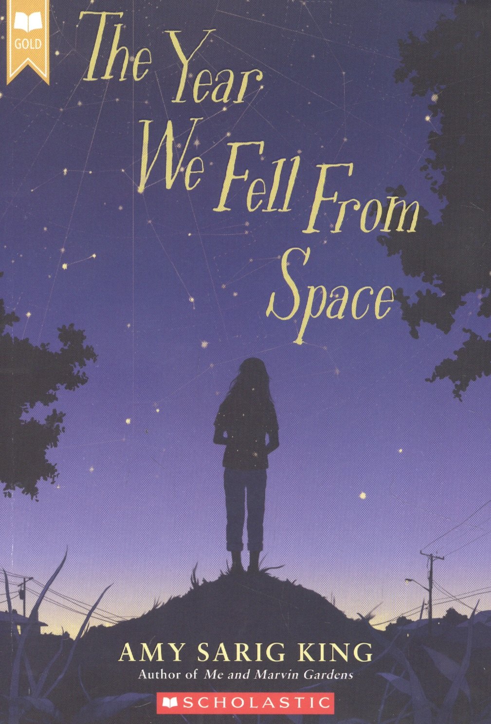 

The Year We Fell from Space