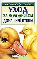 Уход за молодняком домашней птицы (мягк)(Приусадебное Хозяйство). Зипер А. (Аст)