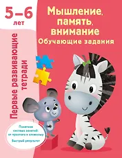 Мышление, память, внимание. Обучающие задания. 5-6 лет