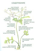 Экологические приключения двух веселых блошек - 1