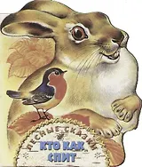 Кто как спит?