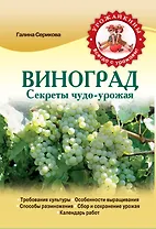 Виноград. Секреты чудо-урожая