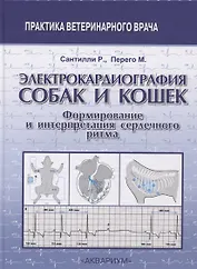 Электрокардиография собак и кошек. Формирование и интерпретация сердечного ритма