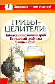 Грибы-целители. Тибетский молочный гриб. Березовый гриб чага. Чайный гриб