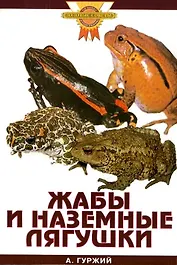 Жабы и наземные лягушки