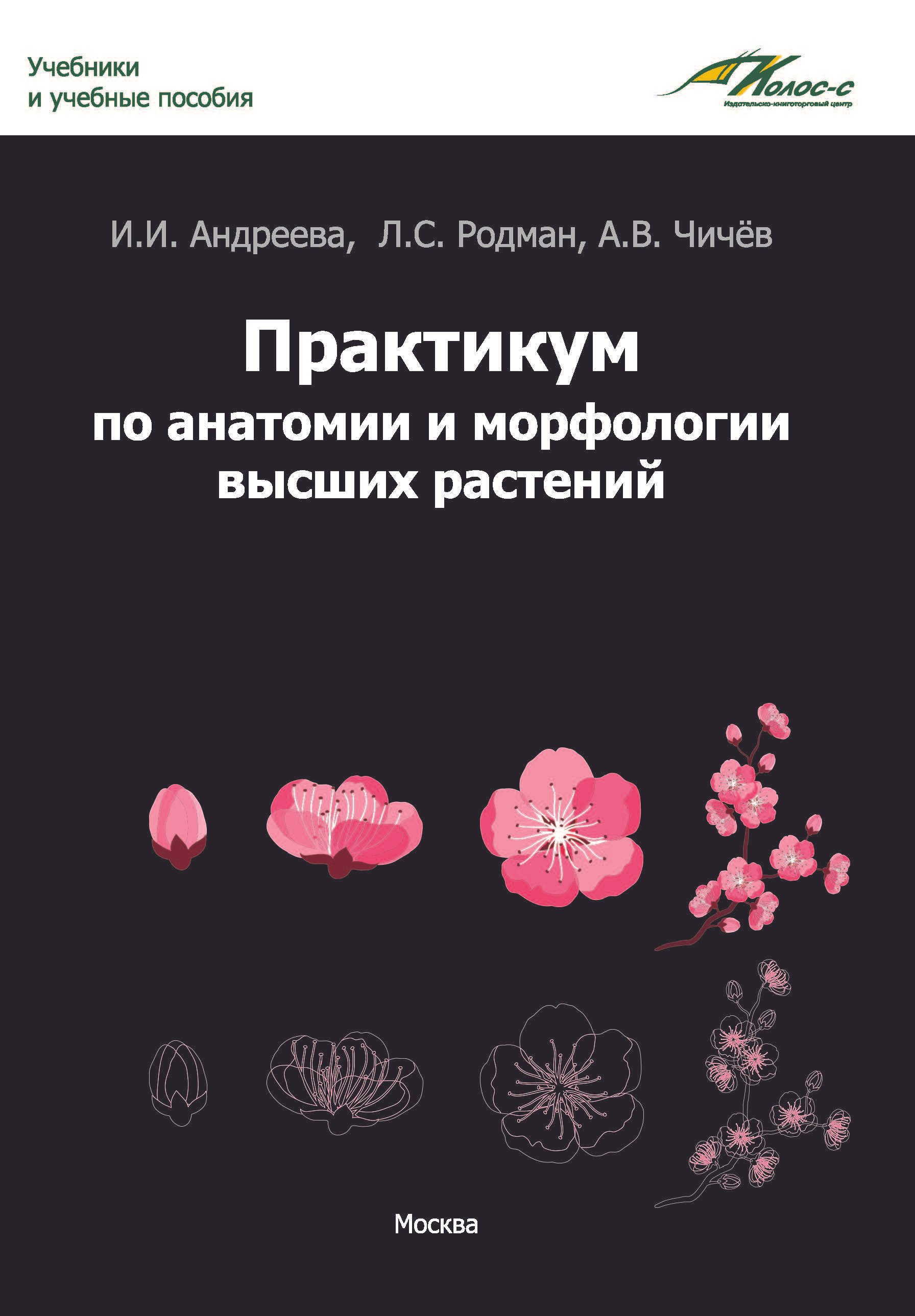 

Практикум по анатомии и морфологии высших растений: учебное пособие