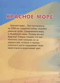 Мир коралловых рифов Красного моря - 2