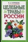 Целебные травы России