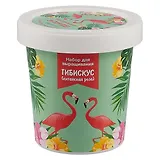 Набор для выращивания Гибискус (Фламинго) (НВ2018-14)