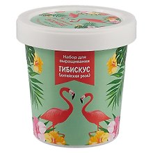 Набор для выращивания Гибискус (Фламинго) (НВ2018-14)