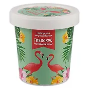 Набор для выращивания Гибискус (Фламинго) (НВ2018-14)