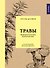 Травы: Природный источник жизненной силы - 0
