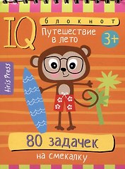 IQ блокнот. 80 задачек на смекалку. Путешествие в лето