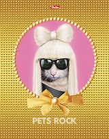 Тетрадь 48л кл. "Glamour Stars PR" (Шоу двойников) ассорти, Hatber