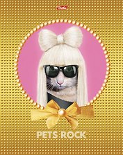 Тетрадь 48л кл. "Glamour Stars PR" (Шоу двойников) ассорти, Hatber