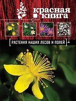 Красная книга. Растения наших лесов и полей