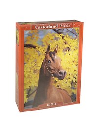 Пазл 1000 С-101290 Арабский скакун (castor)