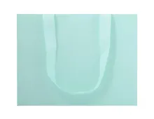 Пакет А3 44*34*12 "Mint"