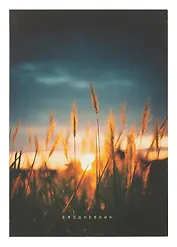 Ежедневник недатированный А5 128 листов, "На рассвете", ламинация Soft Touch