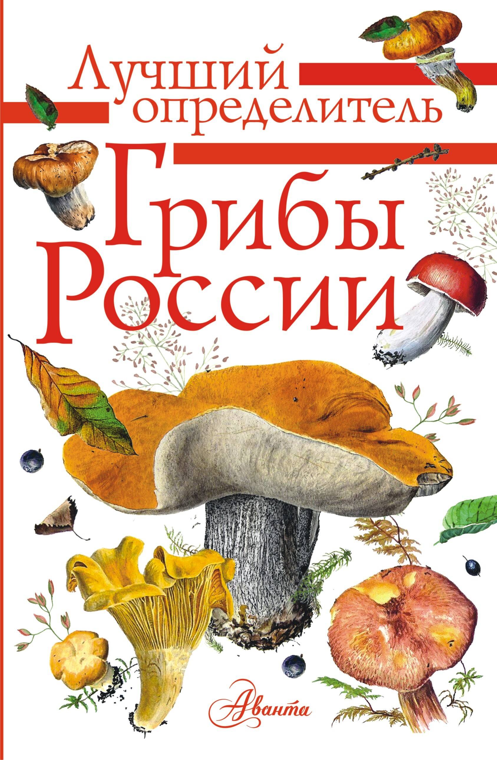 

Грибы России. Определитель
