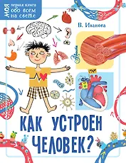 Как устроен человек?