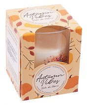 Свеча ароматическая в стакане Autumn Vibes (120г) (коробка)