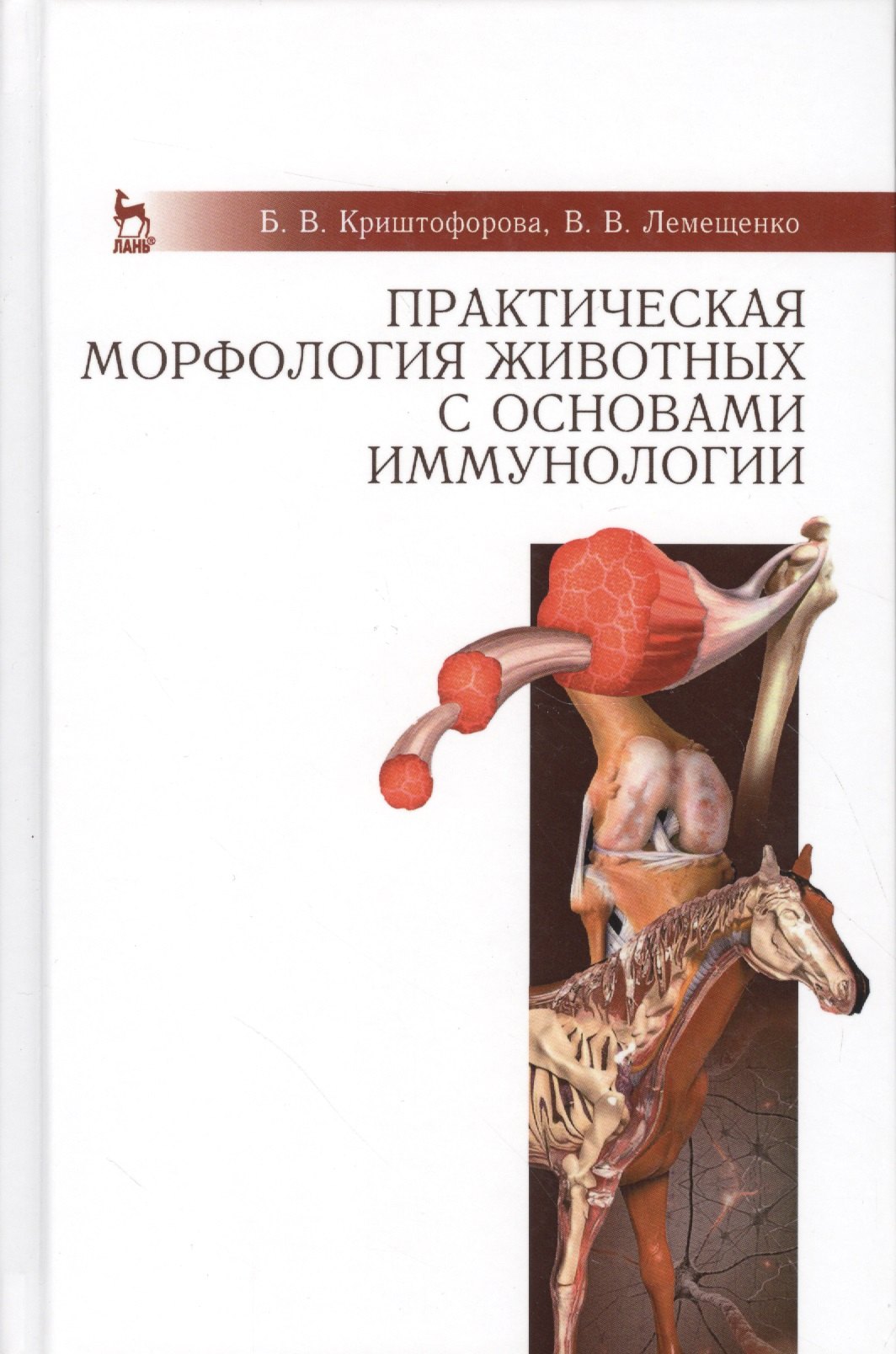 

Практическая морфология животных с основами иммунологии: Учебно-методическое пособие