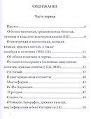 Umbra Maghriba: Графическая магия древнего мира - 1