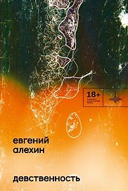 Девственность. Роман