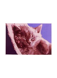 Набор ТМ Рыжий Кот Раскраска на картоне A4 Спящий котёнок (Арт. Р-2395)