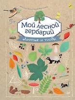 Мой лесной гербарий