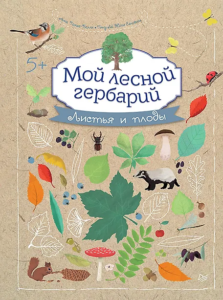 Мой лесной гербарий - 0