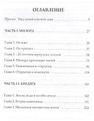 Рыцарь из ниоткуда: роман - 1