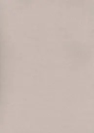 Бумага для пастели А4 "Mi-Teintes" 160г/м2 №426 лунный камень с ворсом, Canson
