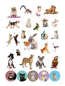 100 НАКЛЕЕК. ЗАБАВНЫЕ ЖИВОТНЫЕ - 1