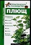 Плющ