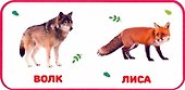 Дикие животные - 1