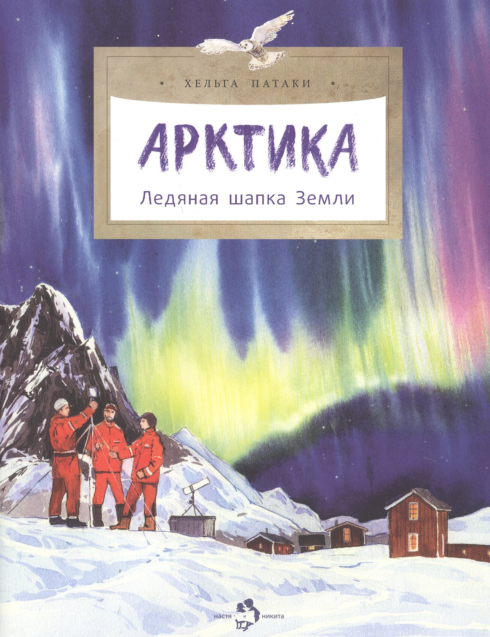 

Арктика. Ледяная шапка Земли