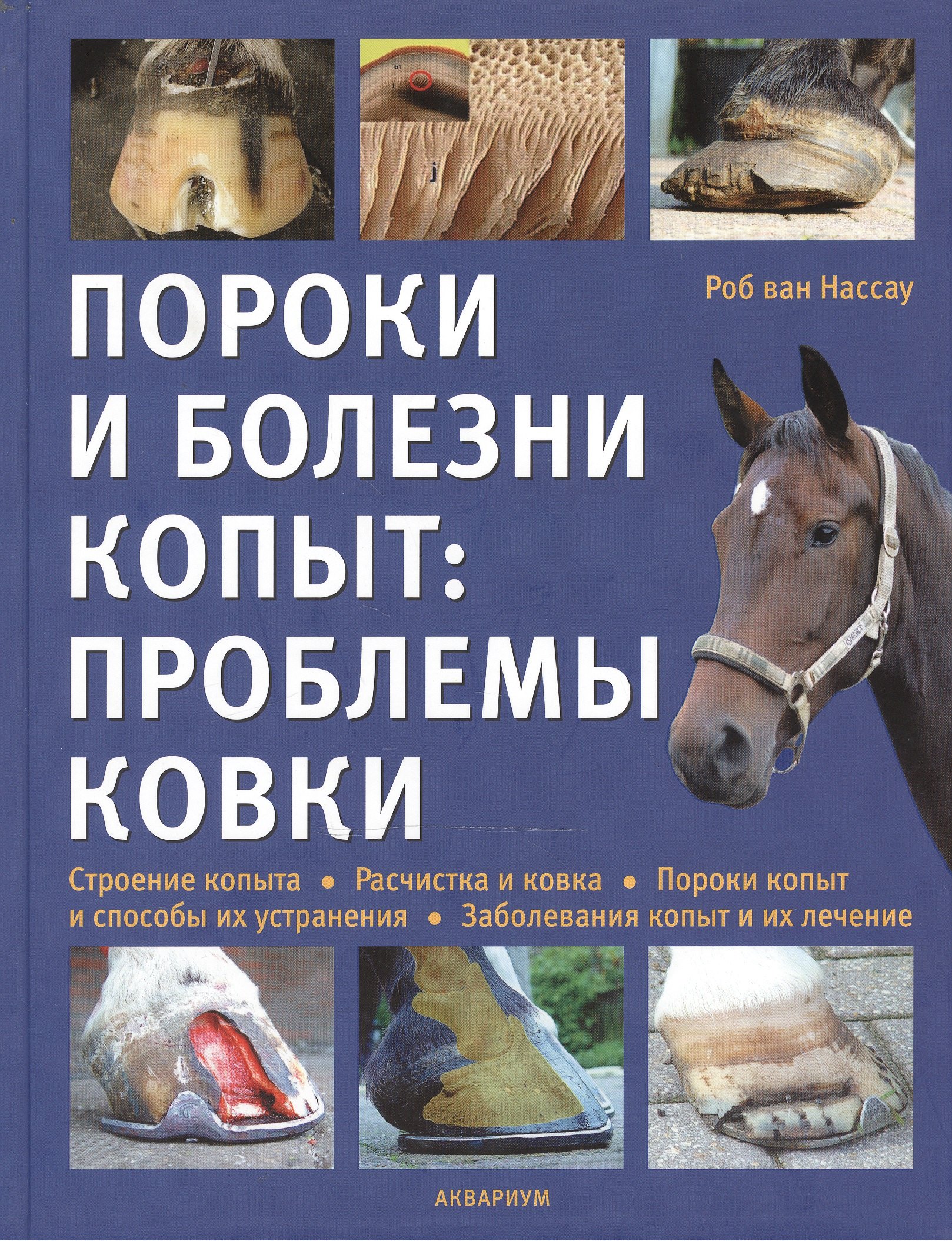 

Пороки и болезни копыт: проблемы ковки. (цвет.)