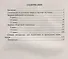 Русский язык. 9-11 классы. Задания для подготовки к олимпиадам. Выпуск 2 - 1