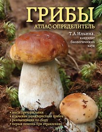 Грибы. Атлас-определитель