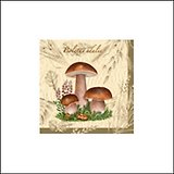 Салфетки Maki бум. сервиров. Белый гриб (SLOG015001) (33х33) (20шт) (3сл)