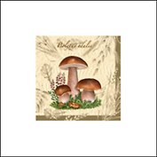 Салфетки Maki бум. сервиров. Белый гриб (SLOG015001) (33х33) (20шт) (3сл)