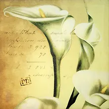 Картина  Каллы (11108)
