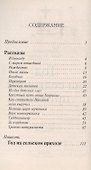 Год на сельском приходе. Рассказы. Повесть - 1